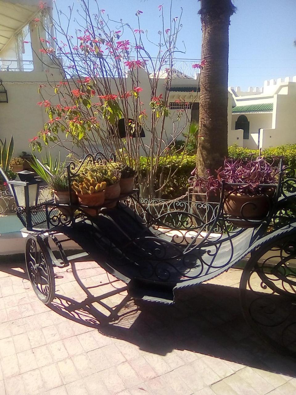 Hotel Riad L' Arganier D' Or Ait el Rhazi Экстерьер фото